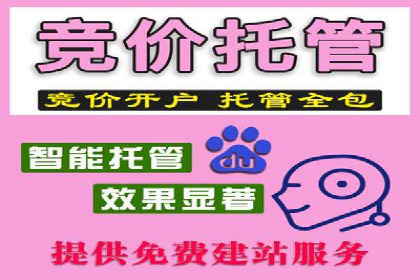 某SEM主管的跨平台广告投放策略与成果